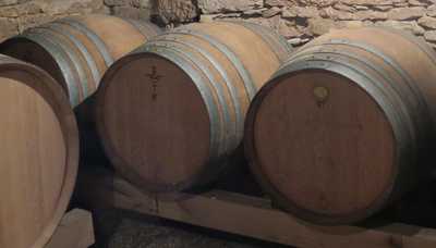 Passion for winemaking